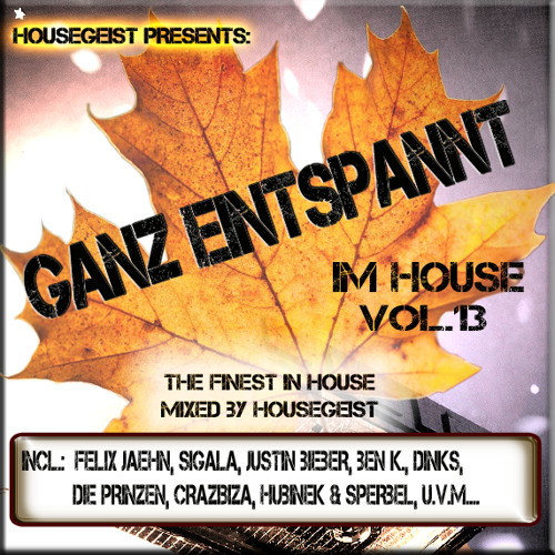 VA - Ganz Entspannt im House Vol.13 (Mixed by Housegeist)