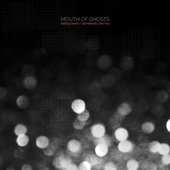 The Mouth of Ghosts  - Somebody Like You