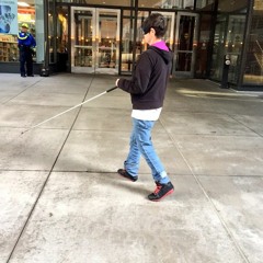 The blind teaching the blind (as aired on MPR News on 11/9/15)