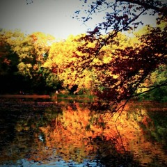 Nadix - otoño hermoso