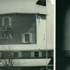 Ben Greenberg, ZZ Ramirez, Elias Bender Rønnenfelt - Achy Breaky Heart (from the WACO LP)
