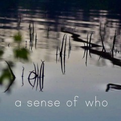 a sense of who (2015) // Bang on a Can Summer Fest