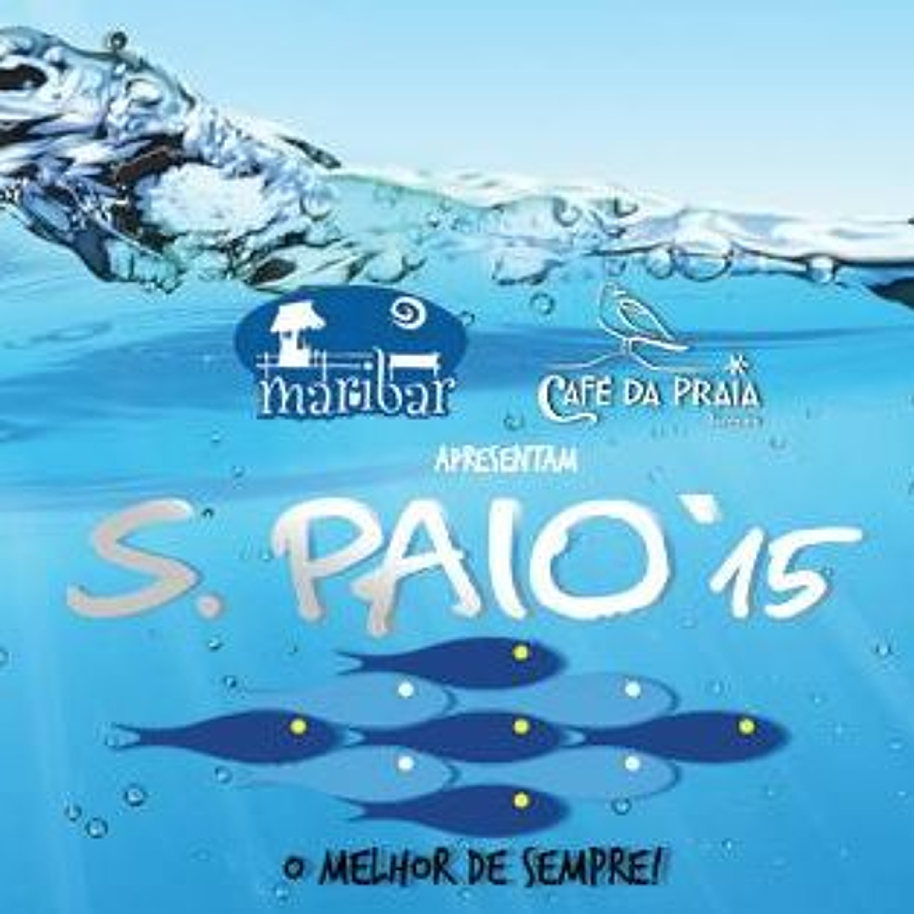 Digital Waves Radio Show #44 - 17/09/15 - Live @ S. Paio (Torreira) Pt.2 episode artwork