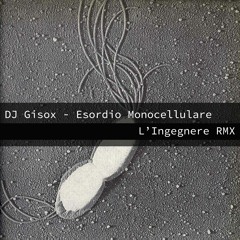 DJ Gisox - Esordio Monocellulare (L'Ingegnere RMX)