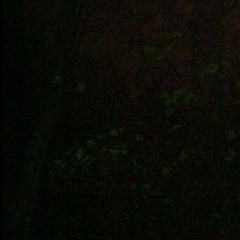 Arne