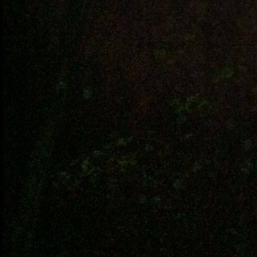 Arne