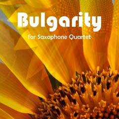 Bulgarity // The Donald Sinta Quartet (2013)