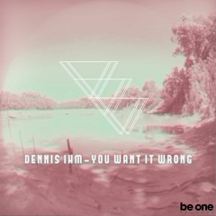 Dennis Ihm - You Want It (Original Mix) DEMO211