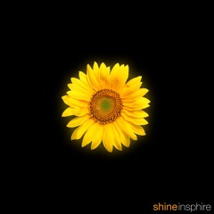 Shine [Single Edit]