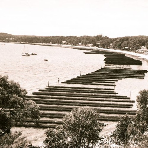 Stream Oyster Farming in Port Stephens Gordon Holliday 1987 by UONCC Listen online for