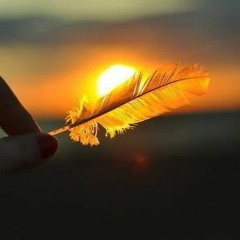 Xavier Rudd - Spirit Bird (Aux N Morris Summerspring Edit)