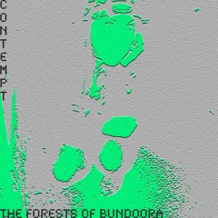 The Forests of Bundoora