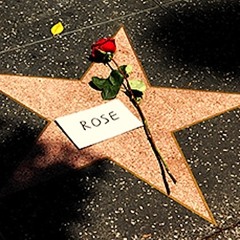 A Star For Rose - Marcy Finds Rose