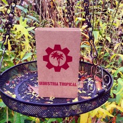 BDS + Panchasila - Alarma!