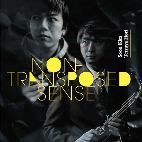 Non-Transposed Sense (2009)