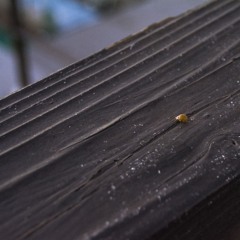 Mental Note for self