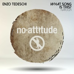 NARD024 Enzo Tedeschi - What Song Is This (Original Mix)