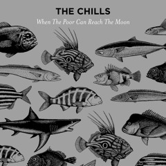 The Chills - When The Poor Can Reach The Moon