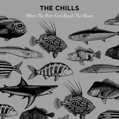 The Chills - When The Poor Can Reach The Moon