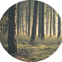 B1 - The Wayfarer (Preview)