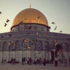 هلْ تُرَى ياأُمتِي ألقَاكِ يوُماً تكتُبِين لْنا مِن النصْر المفاخِر !