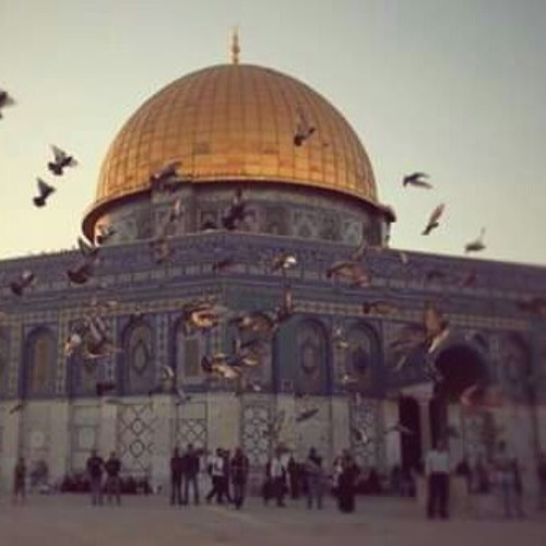 هلْ تُرَى ياأُمتِي ألقَاكِ يوُماً تكتُبِين لْنا مِن النصْر المفاخِر !