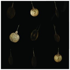 If the Last Rays of Light Will be Seen with Closed Eyes