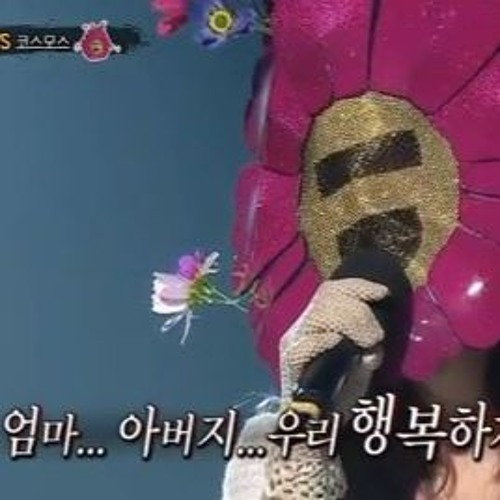 소녀의 순정 코스모스 - 양화대교