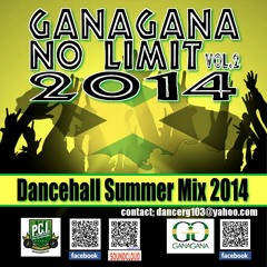 DJ GanaGana - No Limit Vol.2 - Dancehall Reggae 2014 Best Summer Mix (P.C.I. Records)