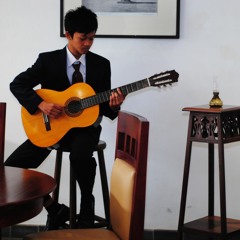 Richard Clanderman - Mariage D'Amor(solo guitar)