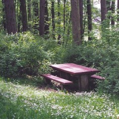 Cleolinda - Jon Swift