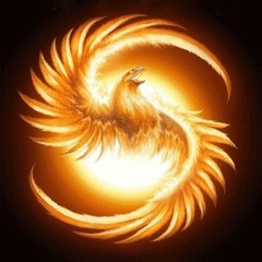 Le phénix