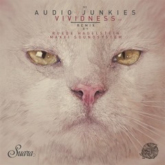 Premiere: Audio Junkies - Vividness Ft Haptic [Suara]