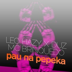 Leo Hazy x DUZ - Pau na Pepeka