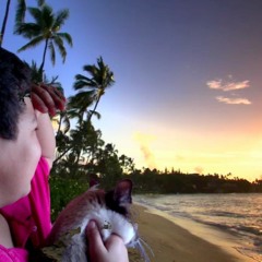 Sesion 2015:noviembrehouse2015 - 11 - 07 13h59m52