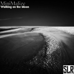 Minimalize - Walking On The Moon (Original Mix) Spinal Recordings