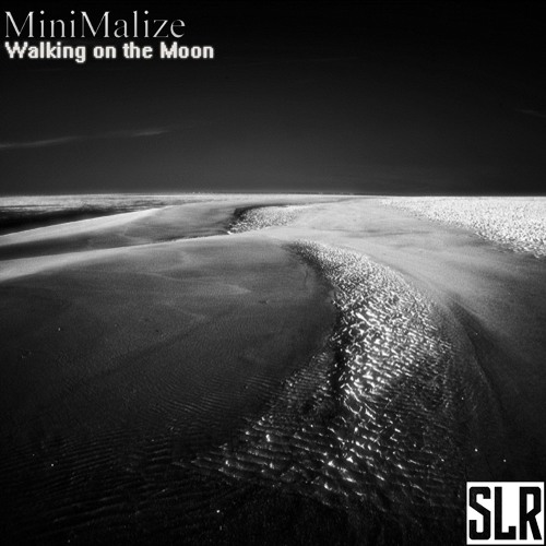 Minimalize - Walking On The Moon (Original Mix) Spinal Recordings