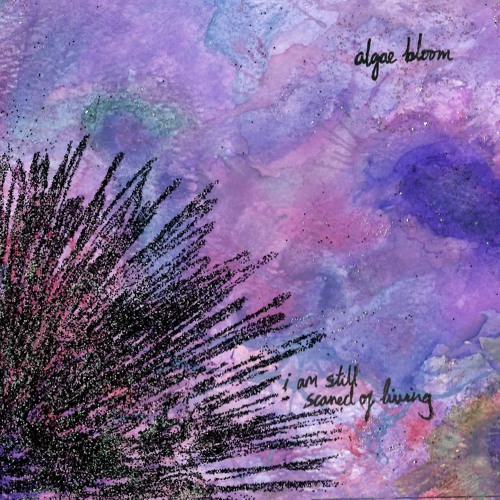 algae bloom- My Most Fragile Self