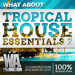 Tropical House Essentials 2 [3 GB of Construction Kits, Presets, Drum Samples / Loops]