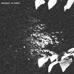 Walk Throught The Mist (Feat. Flashbacked)