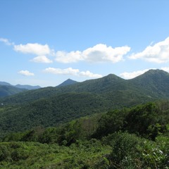 Really Real (prod. TechnoBismol)