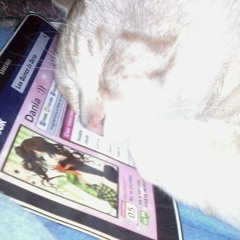 Mix  Summer Special 15 (FLOW BEAT )CRISTIAN