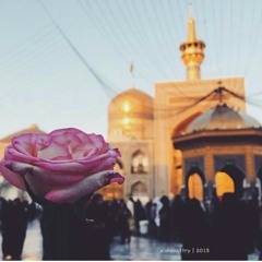 شلون انساج يا يمه .. صعب فرقاج يا يمه ..