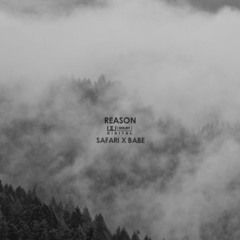 safari x babe - reason