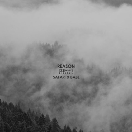 safari x babe - reason