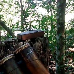 ELEVEI MEU PENSAMENTO