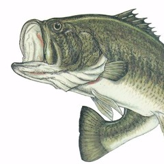 Ad-lib (Original Mix)