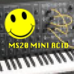 MS20 MINI ACID TRACK - BY THE ACID JESTER