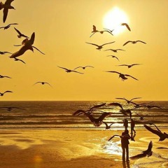 هو الجليل   صلاح الدين التيجانى 220433307 Soundcloud