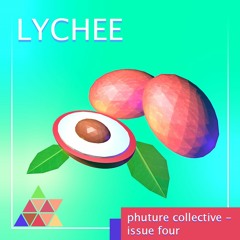 HEALTH INSURANCE- Lychee Dream
